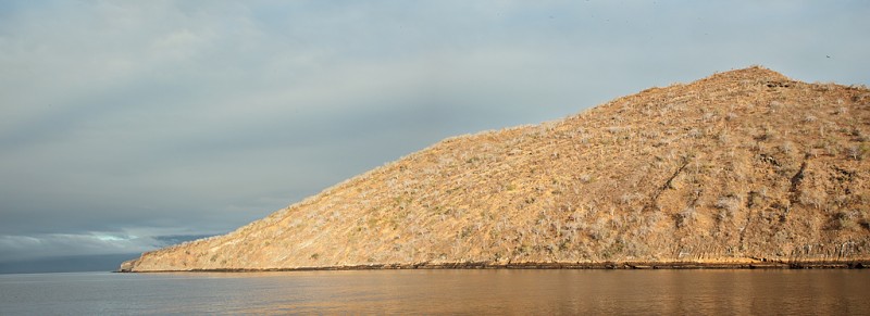tagus-cove-stiched-_w3c8017-tagus-cove-isabella-galapagos-cr2-_panorama1