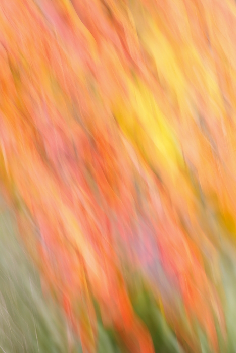 fall-color-blur-_w3c5327-indian-lake-estates-fl