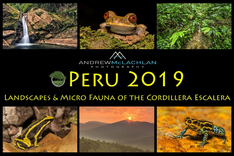 ANDMCL-Peru-2019