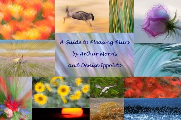 Guide to Pleasing Blurs
