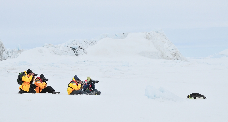 am-&-Shrik-&-penguin-photographers-_(787)-Werner-Mayer--Drake-Passage,-Southern-Ocean