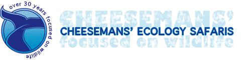 Cheesemans' Ecology Safaris enewsletter banner