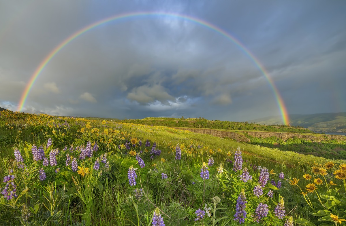 bpn-landscapes-rainbow