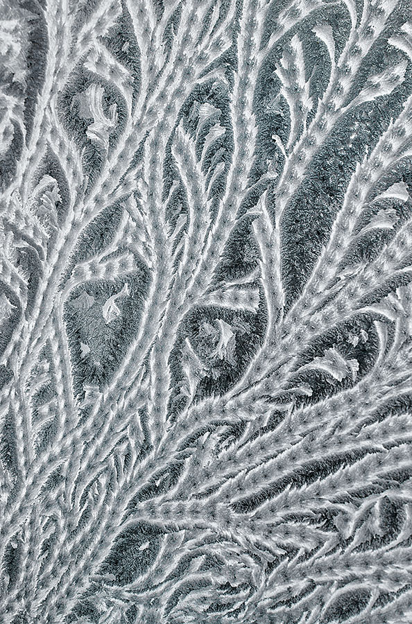 frost-on-window_5708