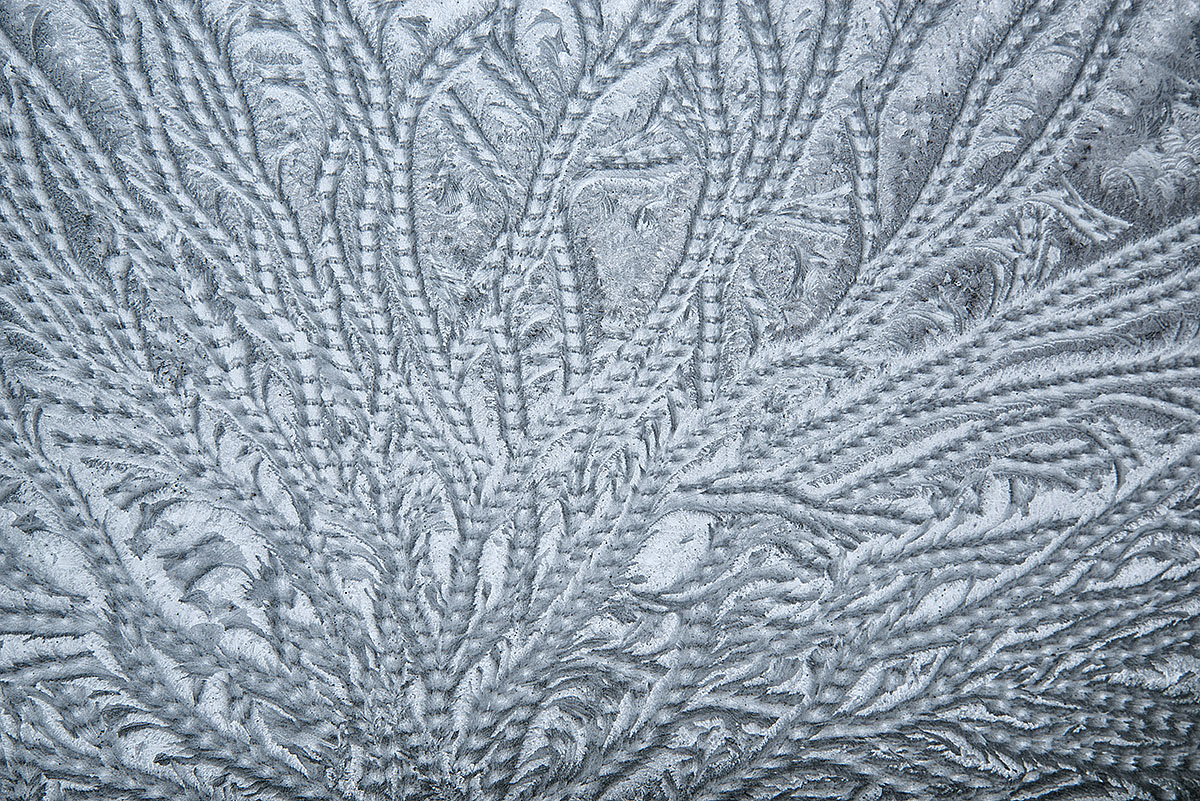 frost-on-window_5715-1