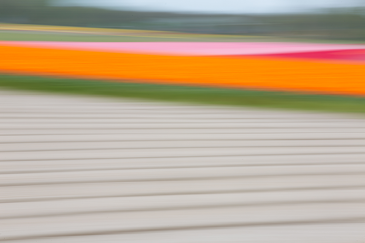 tulip-empty-field-blur-_a1c3500-keukenhof-lisse-holland