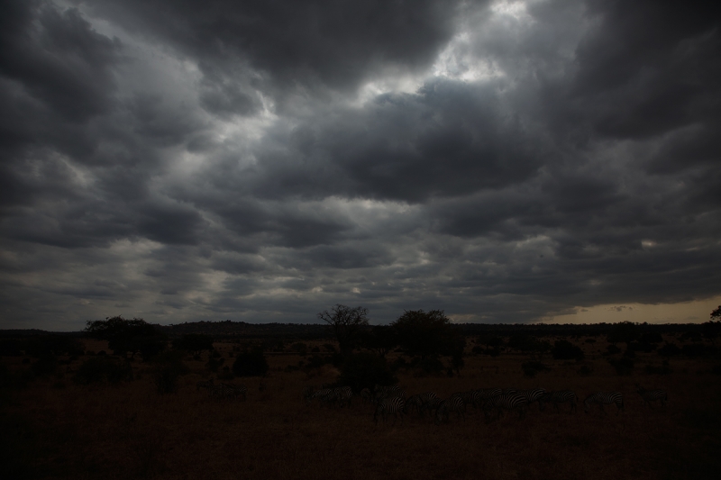 _a1c2720-tarangire-national-park-tanzania