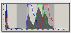 bald-eagle-histogram