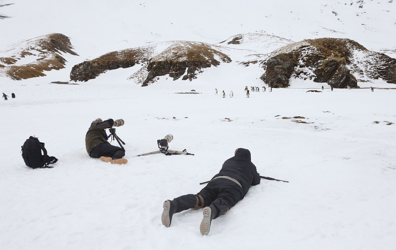 bird-photographers-and-king-penguins-in-the-snow-_q8r9431-fortuna-bay-south-georgia