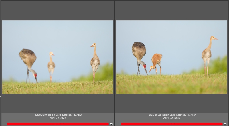 2cranes