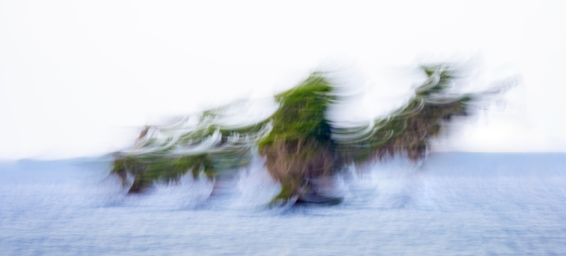 Cypress-tree-Osprey-3200-landing-on-water-_DSC8599-Lake-Blue-Cypress-FL-Enhanced-NR