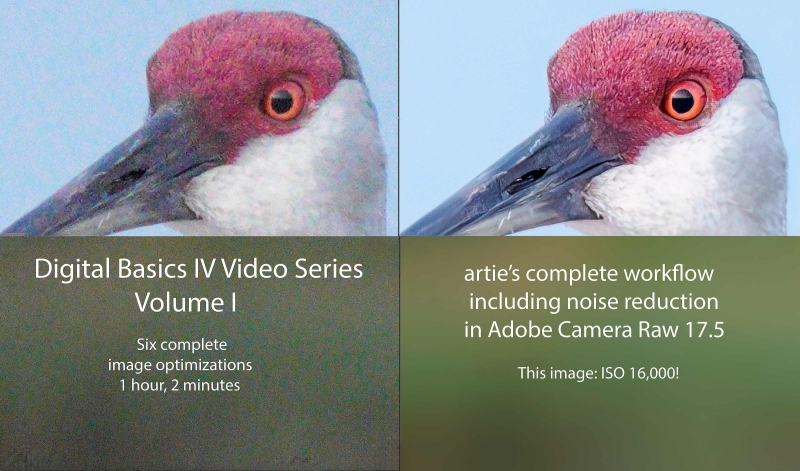 DB-IV-V-I-cover