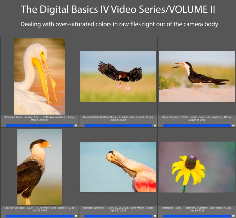 DB-IV-VOL-II-cover