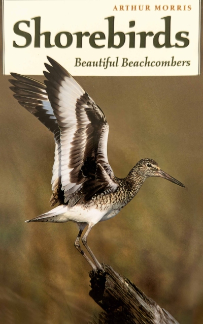 Shorebird-book-cover-IMG_1010