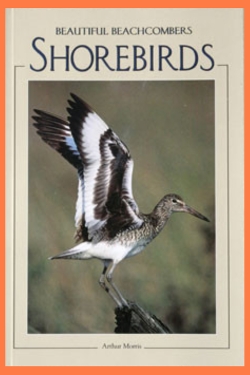 Shorebird-book-cover