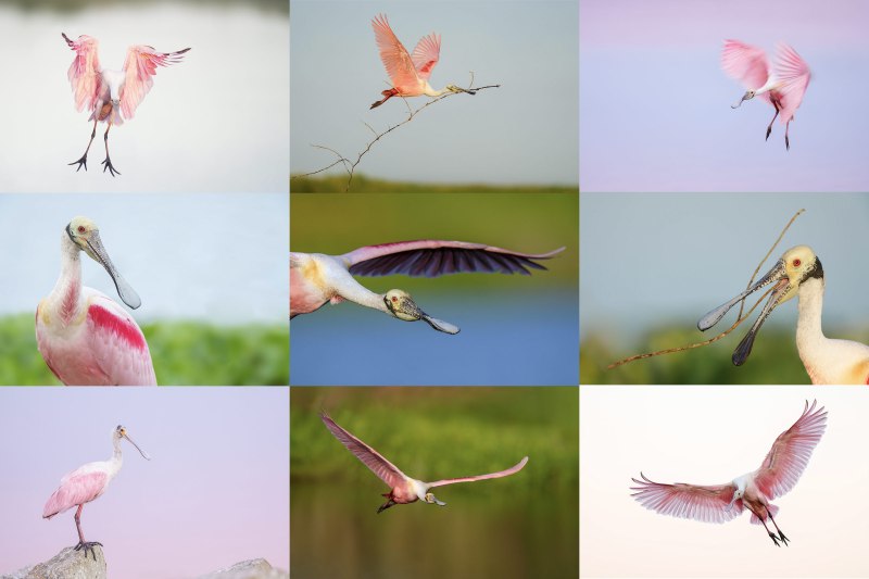 Stick-Marsh-Card-Three