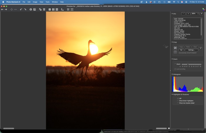 Crane-SUNSET-PH-MECH