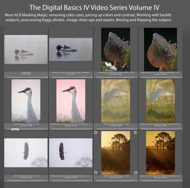 1_DB-IV-VOL-IV-cover