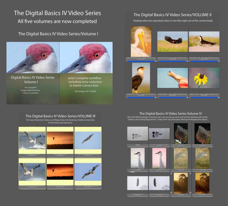 DB-IV-VI-COVER-FINAL