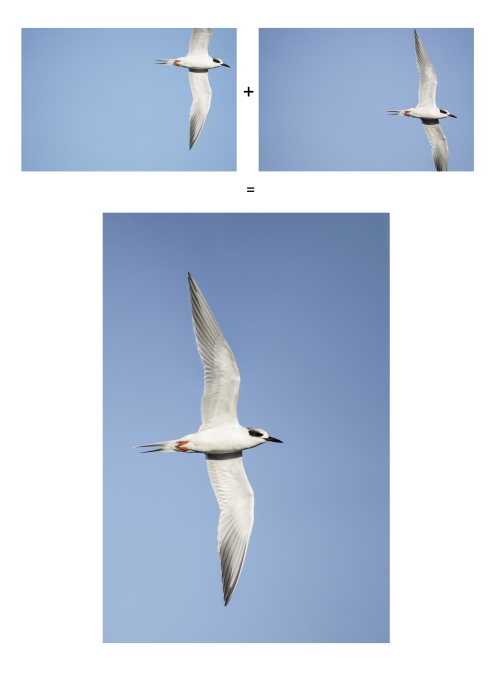 FORSTERN_DSC0767-Indian-Lake-Estates-FL