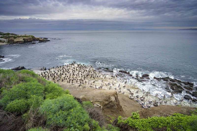 the-lower-cliffs-3200-BOB-EAST-_7R41875-Necedah-Wisconsin-Castlerock-CG