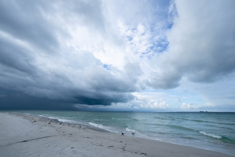 gullsterns-and-stormy-skies-3200-_A1G7308-Fort-DeSoto-Park-Tierra-Verde-FL-