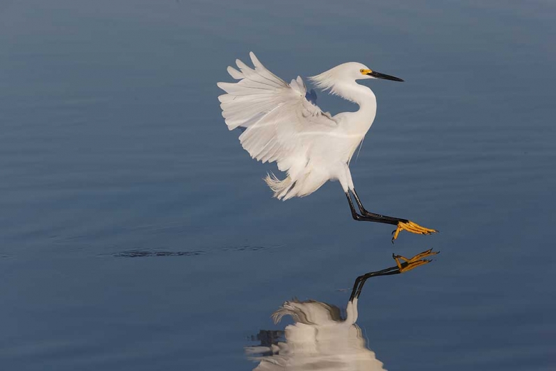 09u0566-little-estero-lagoon-fort-myers-beach-fl