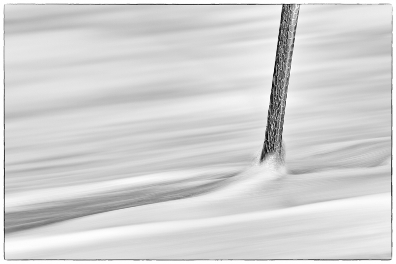 clemensmgreat-blue-heron-leg-blur-on-the-beach-ii_bw_frame_800mm_1-15s_f22_iso50_m7e0289-blind-pass-sanibel-island-fl