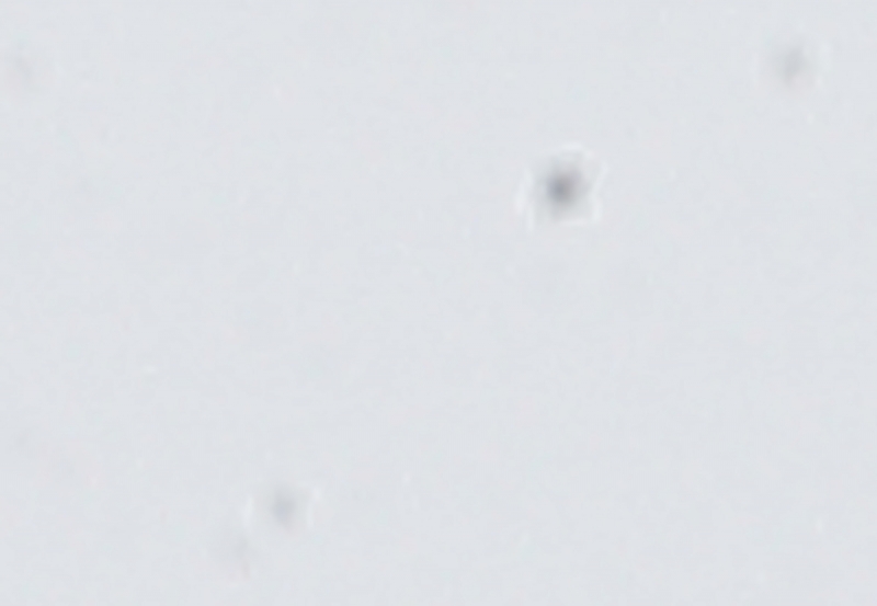 1200-pct-oil-spots