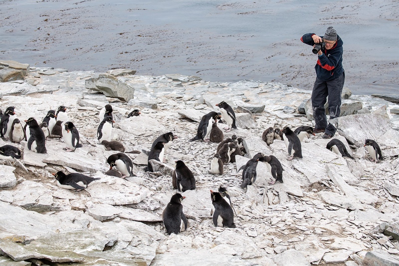 Anita-North-with-rockhoppers-_MAI6531-Sea-Lion-Island-The-FalklandsA