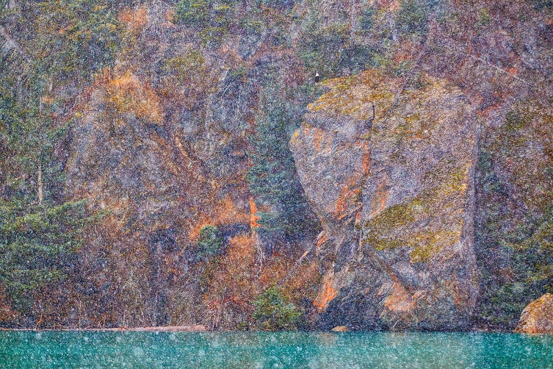 Bald-Eagle-on-cliff-in-snow-MONET-W-TONAL-CONTRAST-HDR-withe-eagle-painted-out-_W3C2028-Homer-AK-copy
