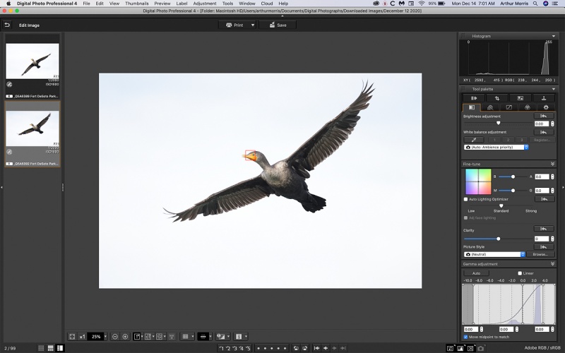 DC-Corm-flight-DPP4-1
