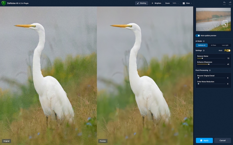 DeNiose-on-Great-Egret-bird-scape-Anhuac-1