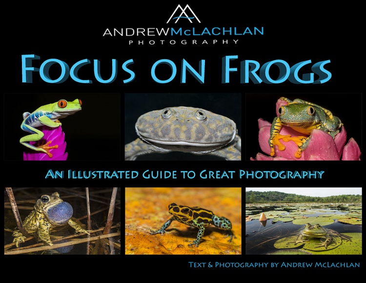 Focus-on-Frogs-COVER