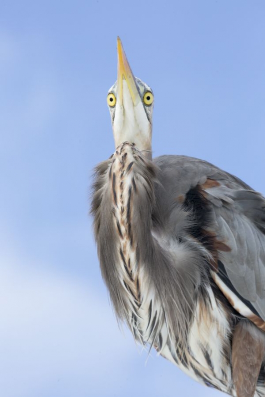 Jim-MIller-GBH-_U9A8251