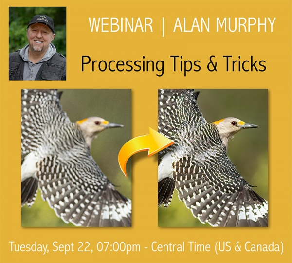 Murphy-Processing-webinar-cover