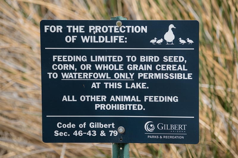 SIGN-_DSC2062--Gilbert-Water-Ranch-Riparian-Preserve,-AZ