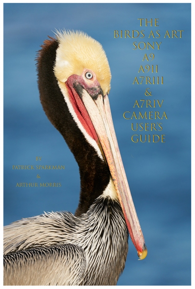 SONY-e-Guide-cover