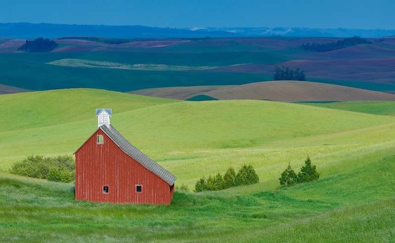 Salt-Barn-in-sweet-light-_P3A7400-Palouse,-WA