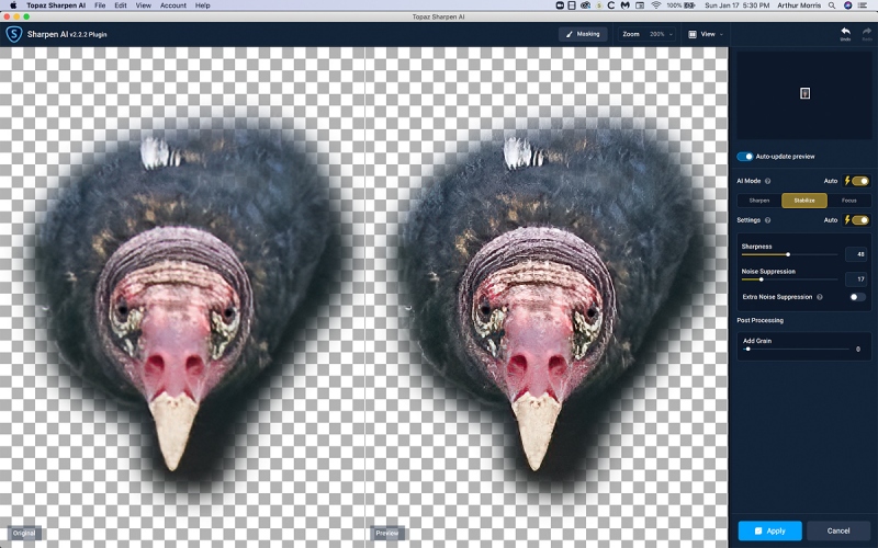 Sharpen-AI-on-vulture-face-1