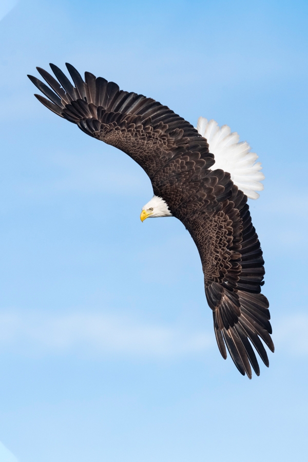 anita-eagle-_DSC3786-Basket-Lake-2019-Edit-Edit