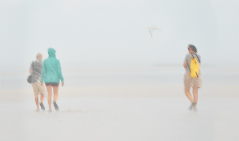 beachwalkers-in-the-rain-_A9B9012-Fort-DeSoto-Park-FL-1