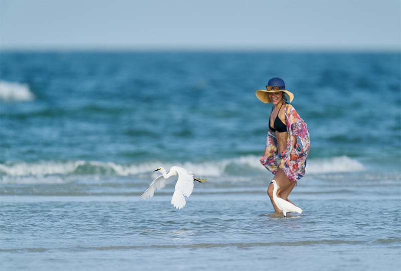 dancing-with-egrets-_A9B1183-Fort-DeSoto-Parr-FL-1