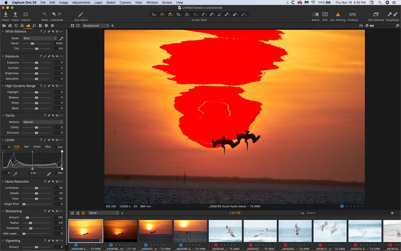 diving-pelican-sunset-C-1-Untitled-1