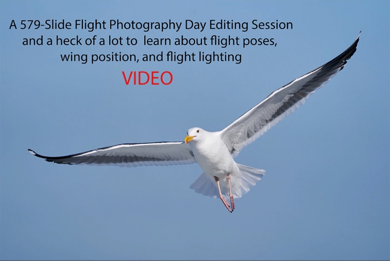 flight-editing-video-coverA