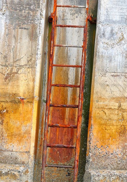 harbor-ladder-_A0I1021-Seahouses,-UK