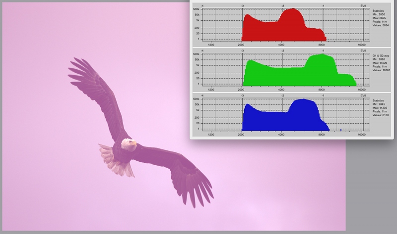 rawdigger-bald-eagle-adapted-histogram-1