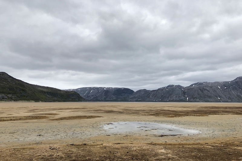 stint-puddle-IMG_0204