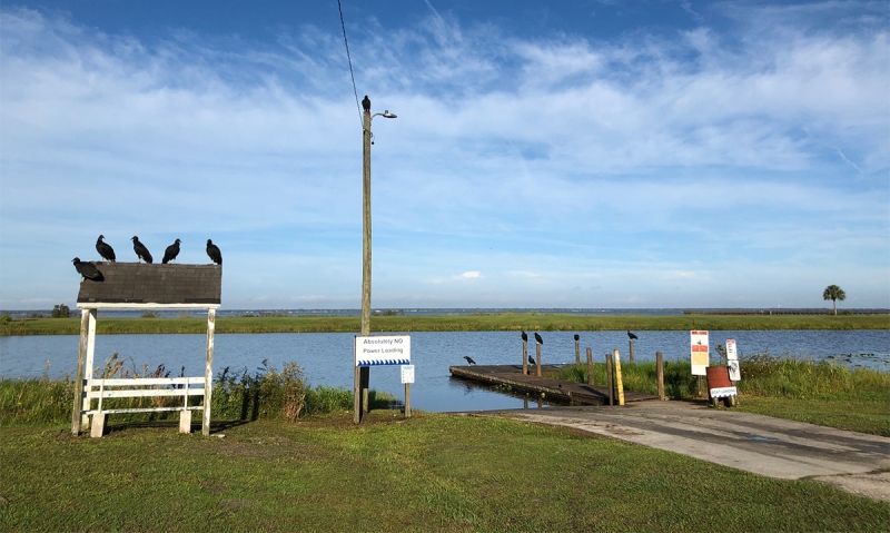 vultures-at-boat-ramp