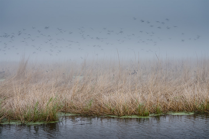 wide-_A7R6285-Shovler-Pond-Oct-2020